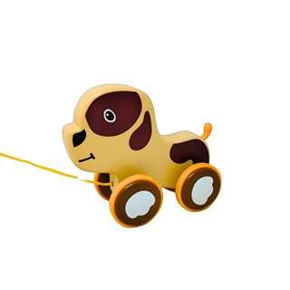 De paseo con perrito
